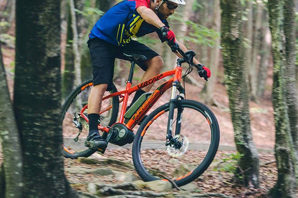 Electric Mountain Bikes